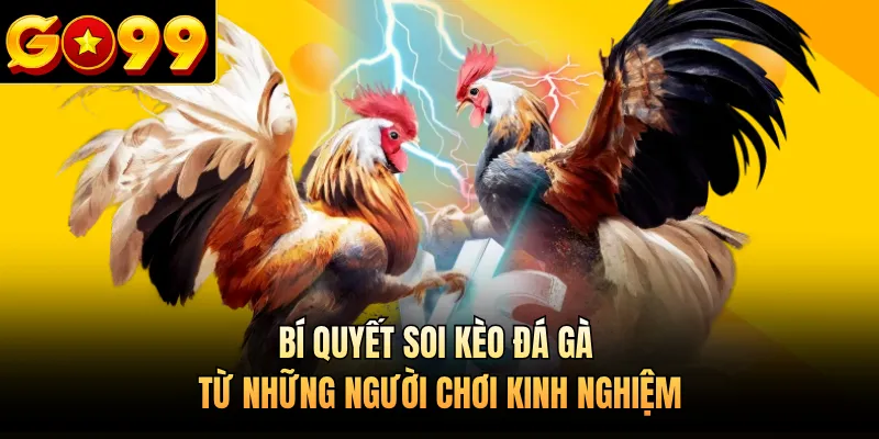 Bí quyết soi kèo đá gà từ những người chơi kinh nghiệm 